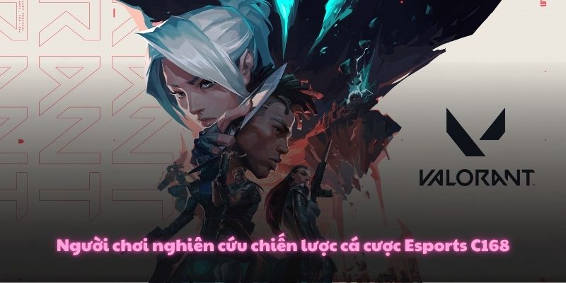 Người chơi nghiên cứu chiến lược cá cược Esports C168